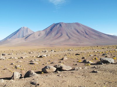 Atacama Erick -  (265)