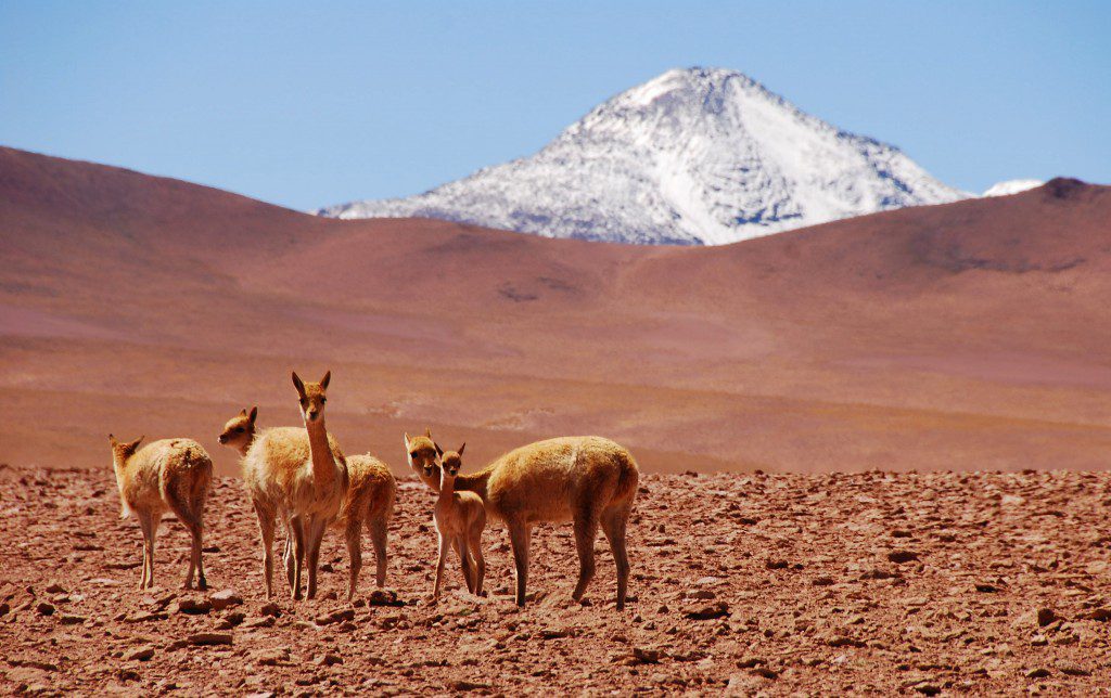 O que são os raríssimos 'duendes vermelhos' do Deserto do Atacama