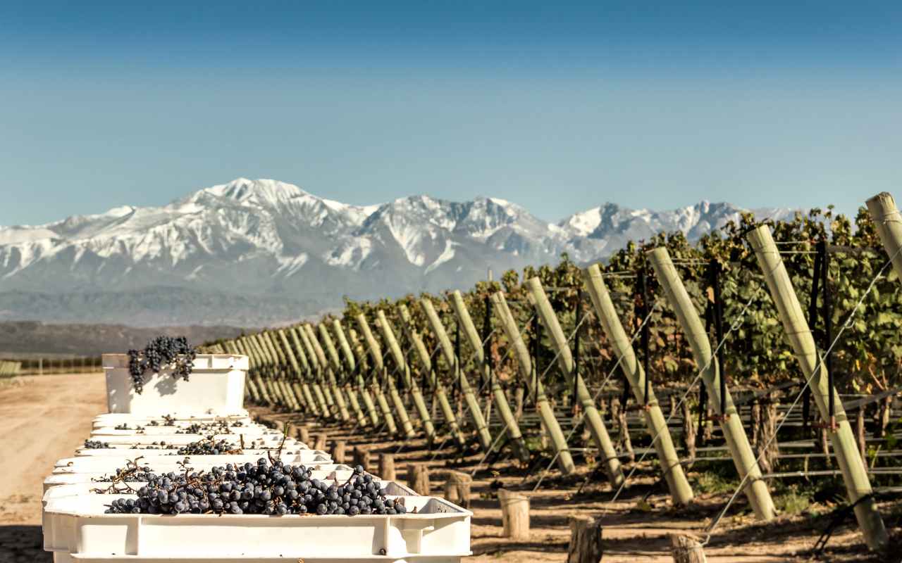 Mendoza e Aconcágua - Argentina