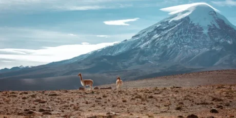 Vulcão Chimborazo no Equador