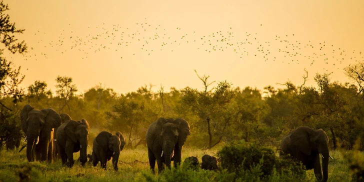 Safári no Kruger National Park - África do Sul completo - Clima na África do Sul