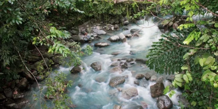Kinabalu Park in Poring Hot Spring, Malaysia - Kuala Lumpur com Grand Tour de Borneo