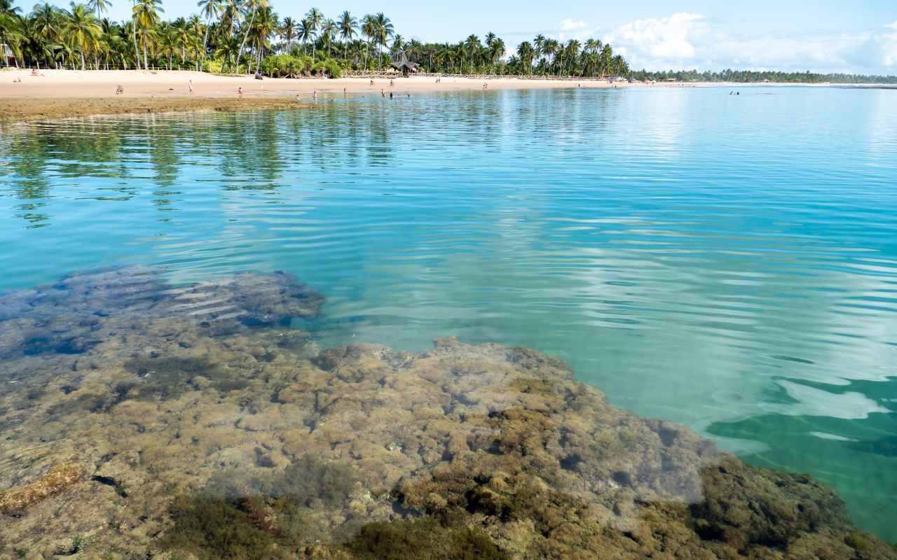 Pacotes para Praias Nordeste