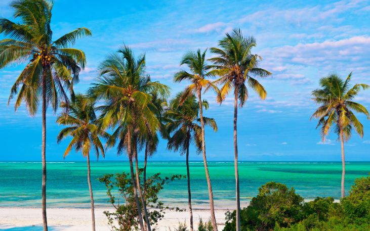 Zanzibar - Zuri Zanzibar