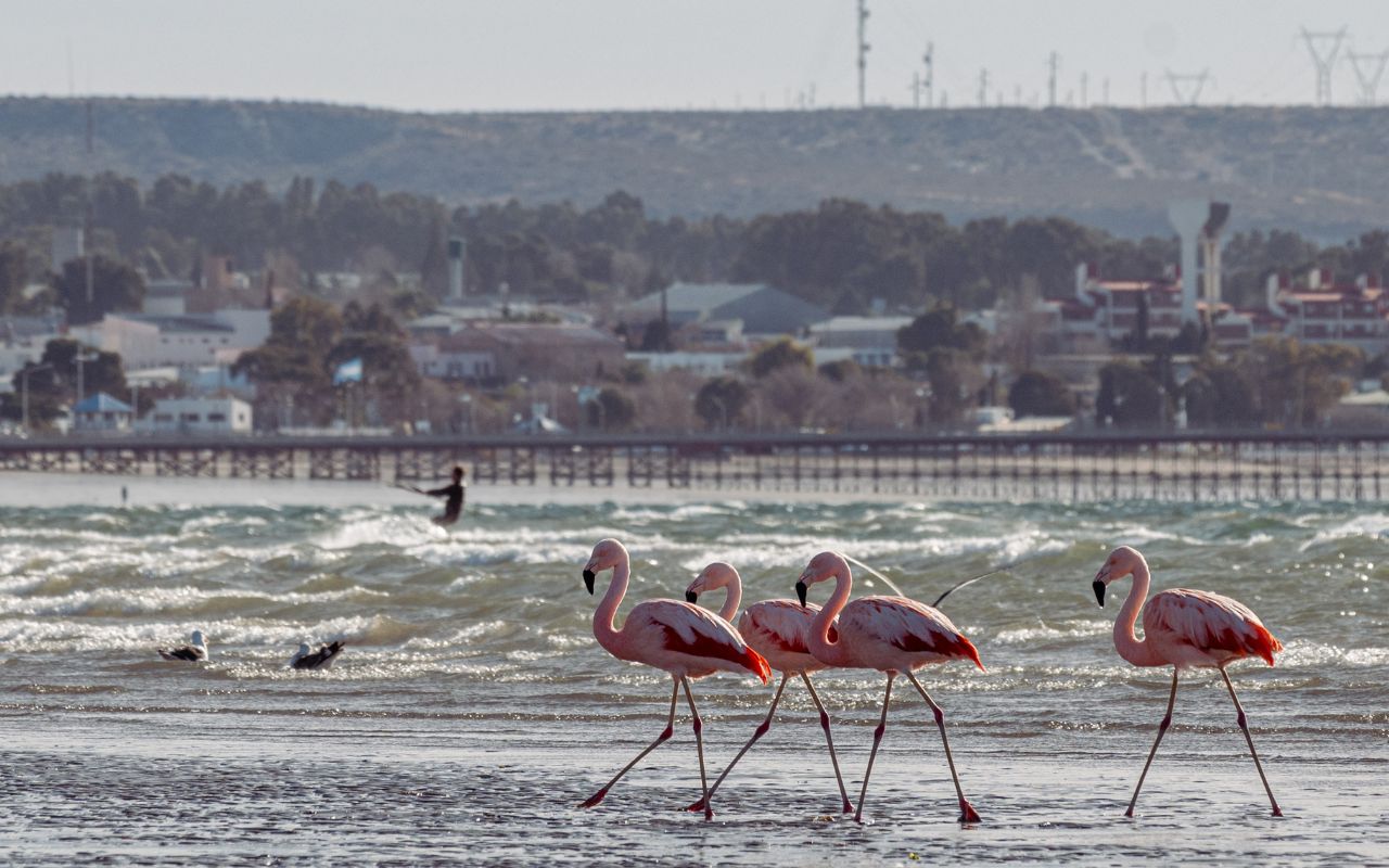 Puerto Madryn – Argentina