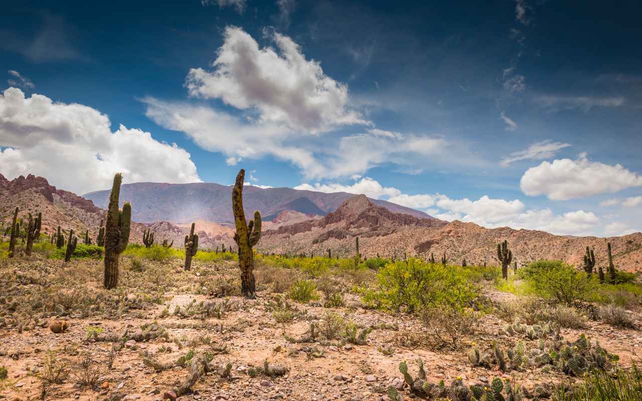 Salta e Jujuy-Argentina