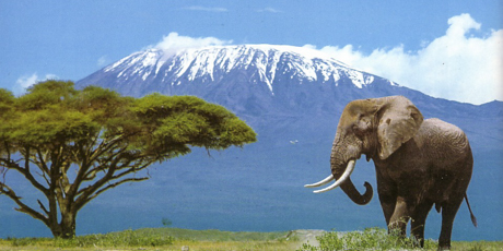 Pacotes para Quênia e Tanzânia