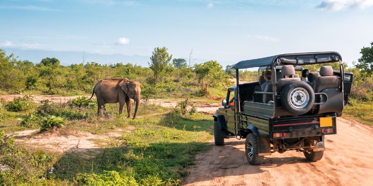 o melhor da África do Sul e Moçambique