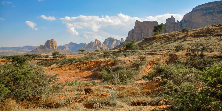 Maryan Korkor - Pacotes para Etiópia