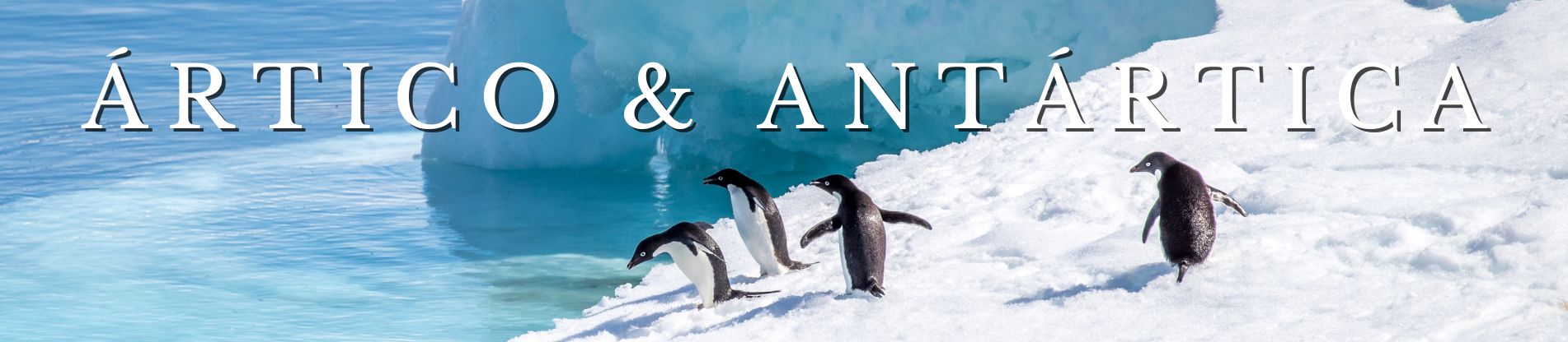 Banner Pacotes para Ártico e Antártica