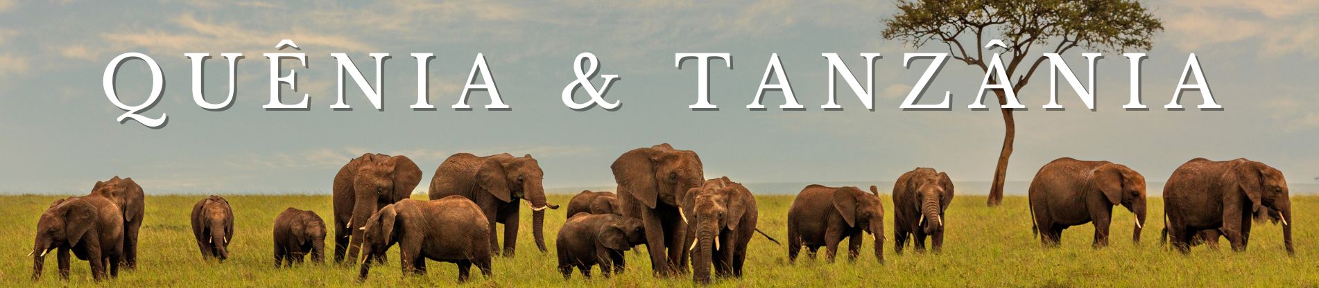 Banner Pacotes para Quênia e Tanzânia