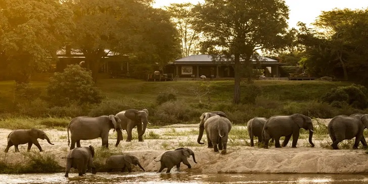 Cape Town e Região do Kruger - Mala Mala Private Reserva na África do Sul