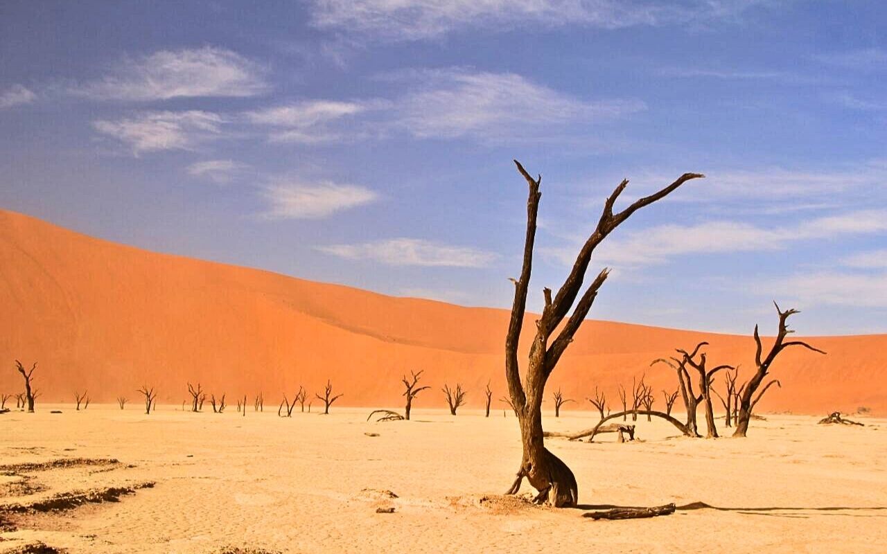 Dicas de Viagem - Paisagem seca de Deadvlei