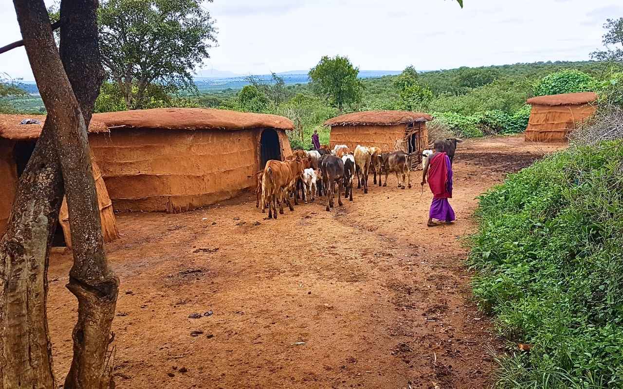 Tanzânia - Arusha e Taranguire - África