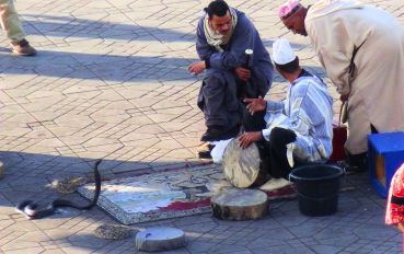 Encantadores de Serpentes na Praça Jemaa el-Fna - Marrakesh