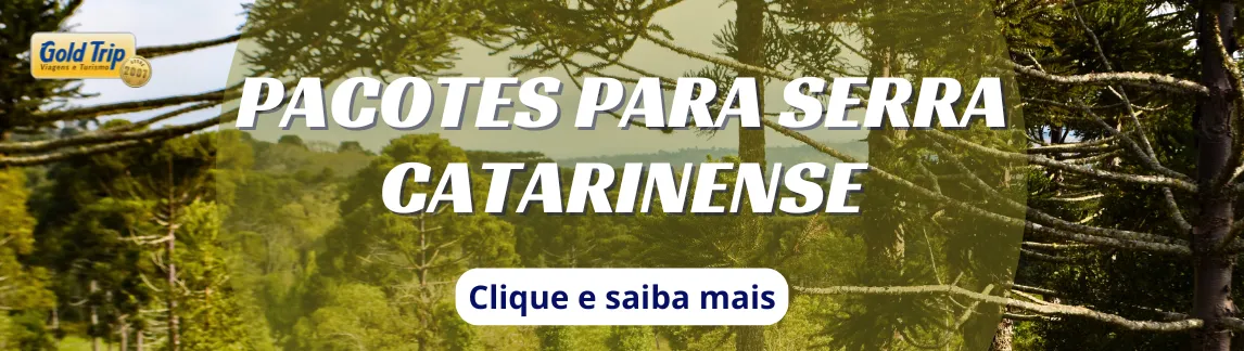 Banner Clima em Serra Catarinense