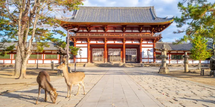 Nara no Japão