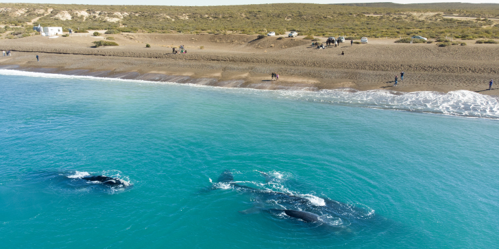 Puerto Madryn - Patagônia Argentina