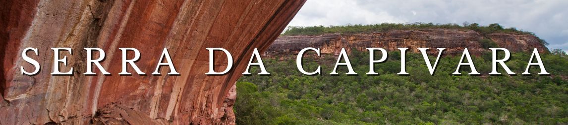 Banner Pacotes para Serra da Capivara