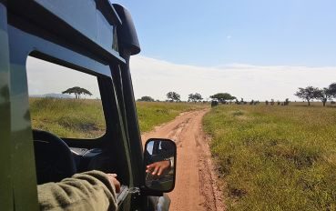 Tanzânia – Ngorongoro e Serengeti – África