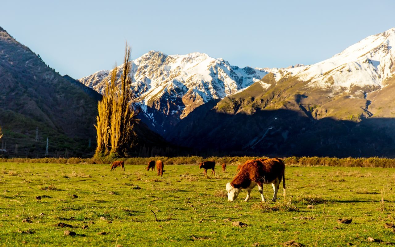 Pacotes para Patagônia Argentina