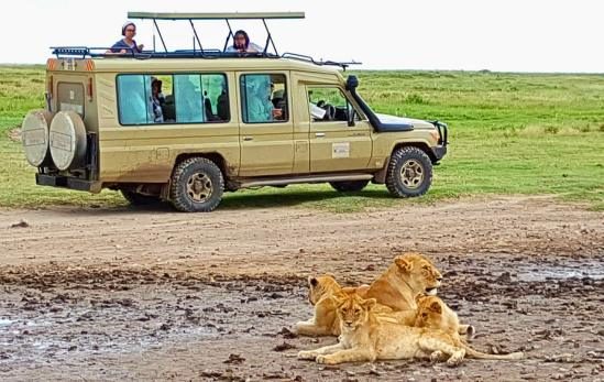 Tanzânia – Ngorongoro e Serengeti – África